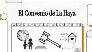 RESTITUCION INTERNACIONAL DE MENORES portada de la haya
